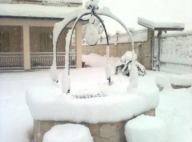 Mela__bii * سولمونا